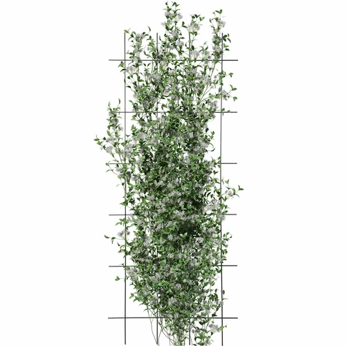Suport pentru plante - grilaj (150cm x 60cm) 3 bucăți - 3