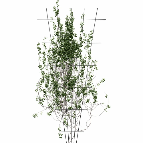 Suport pentru plante - grilaj (150cm x 75cm) 2 bucăți - 3
