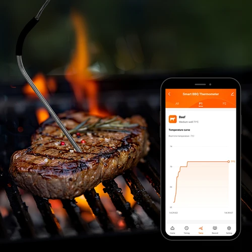 Termometru de bucătărie cu Bluetooth, 2 sonde - 13