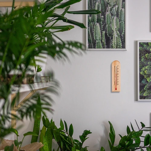 Termometru de cameră cu model (-20°C până la +50°C) 15cm - 6