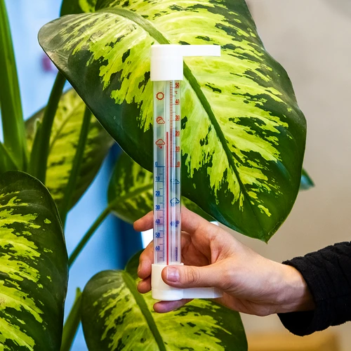 Termometru extern cu scară transparentă (-70°C până la +50°C) 23cm mix - 3