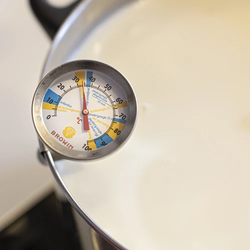 Termometru pentru brânză (0°C până la +100°C) 19,8cm - 3