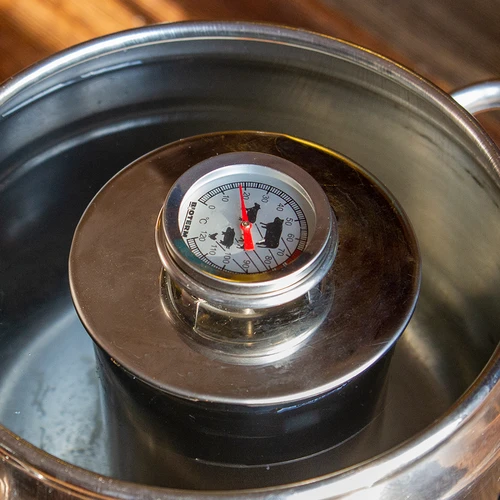 Termometru pentru coacerea cărnii (0°C până la +120°C) 12,5cm - 12