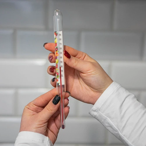 Termometru pentru conserve (0°C până la +100°C) 22cm - 5