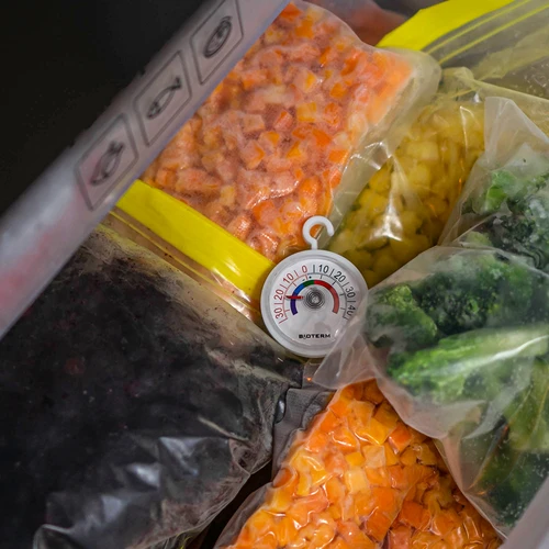 Termometru pentru frigidere și congelatoare (-35°C până la +45°C) Ø 5cm - 5