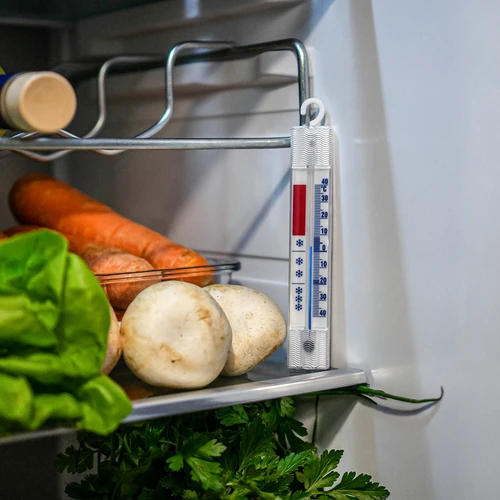 Termometru pentru frigidere și congelatoare (-40°C până la +40°C) 15cm - 5