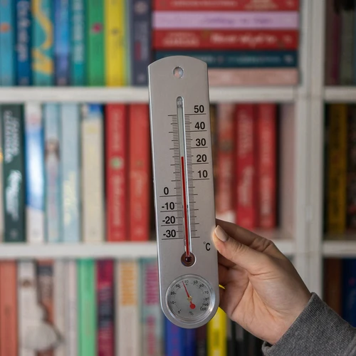 Termometru universal argintiu cu higrometru (-30°C până la +50°C) 25cm - 3