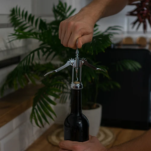 Tirbușon metalic - tradițional - argintiu - 4