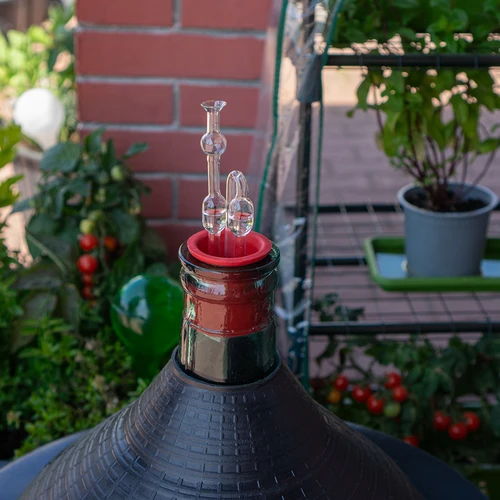 Tub de fermentare din sticlă - 4