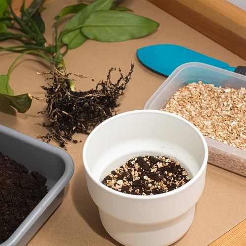 Vermiculit pentru plante de ghiveci și grădinărit, 2 L - 7