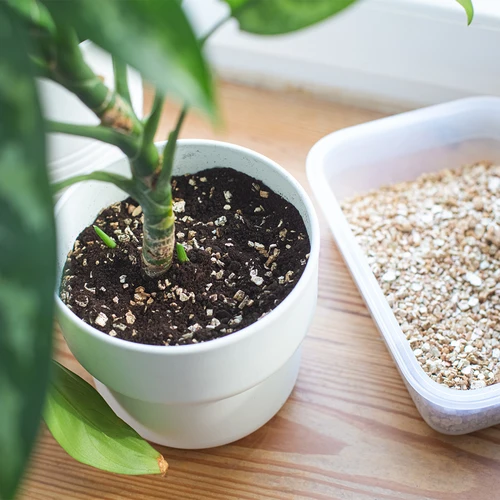 Vermiculit pentru plante de ghiveci și grădinărit, 2 L - 8