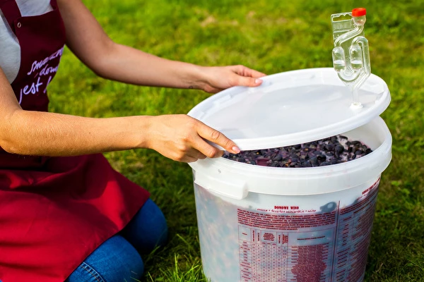 Cum să faci vin pas cu pas?