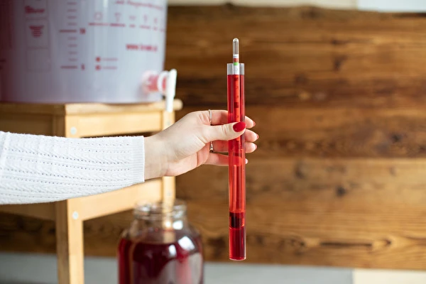 Cum să faci vin pas cu pas?