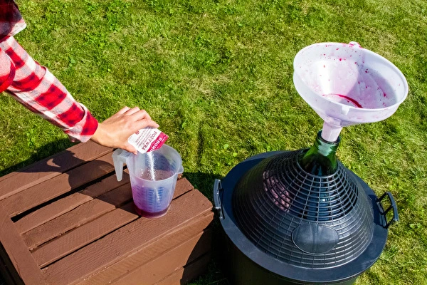 Cum să faci vin pas cu pas?