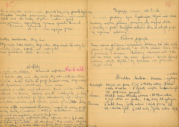 Episodul 2: Ardei murați cu frunze de stejar