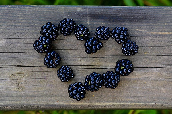 Lichior de mure de casă