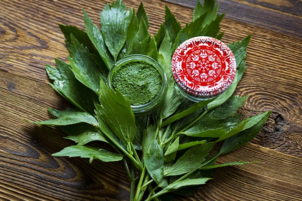 Pastă de leuștean — condiment MAGGI de casă