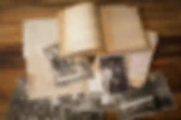 Episodul 1: Tort din pâine integrală