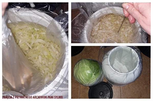 Varză murată după rețeta doamnei Sylwia