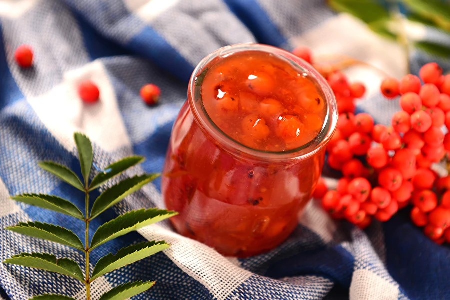 Browin Przepiśnik - Confitură de scoruș - ideală pentru carne