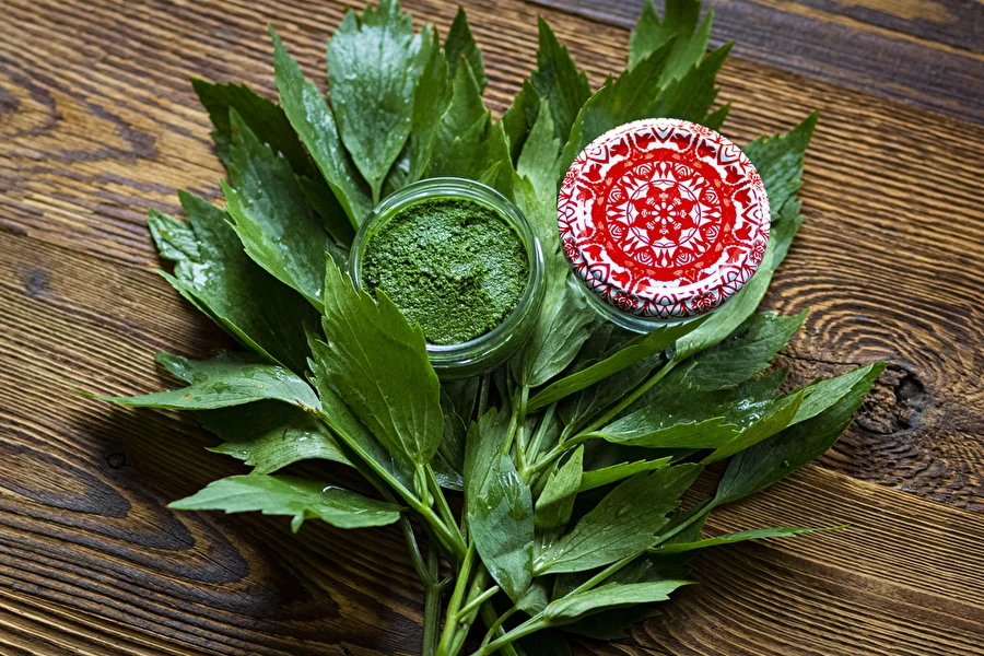 Browin Przepiśnik - Pastă de leuștean — condiment MAGGI de casă