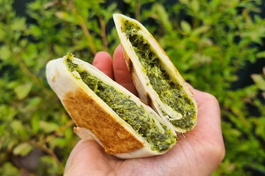 Browin Przepiśnik - Tortille la grătar cu spanac și feta