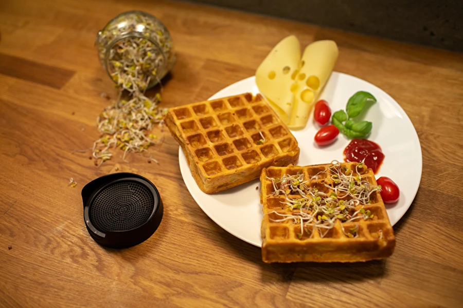 Browin Przepiśnik - Vafe sărate