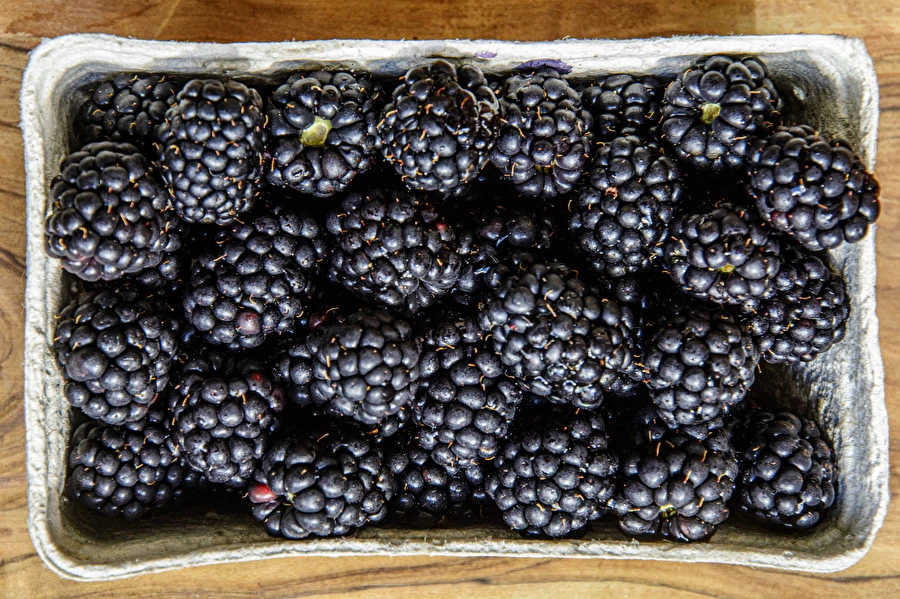 Browin Przepiśnik - Vin de mure de casă, demidulce